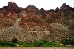 DSCF7009