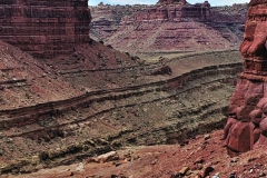 IMG_20220519_110245